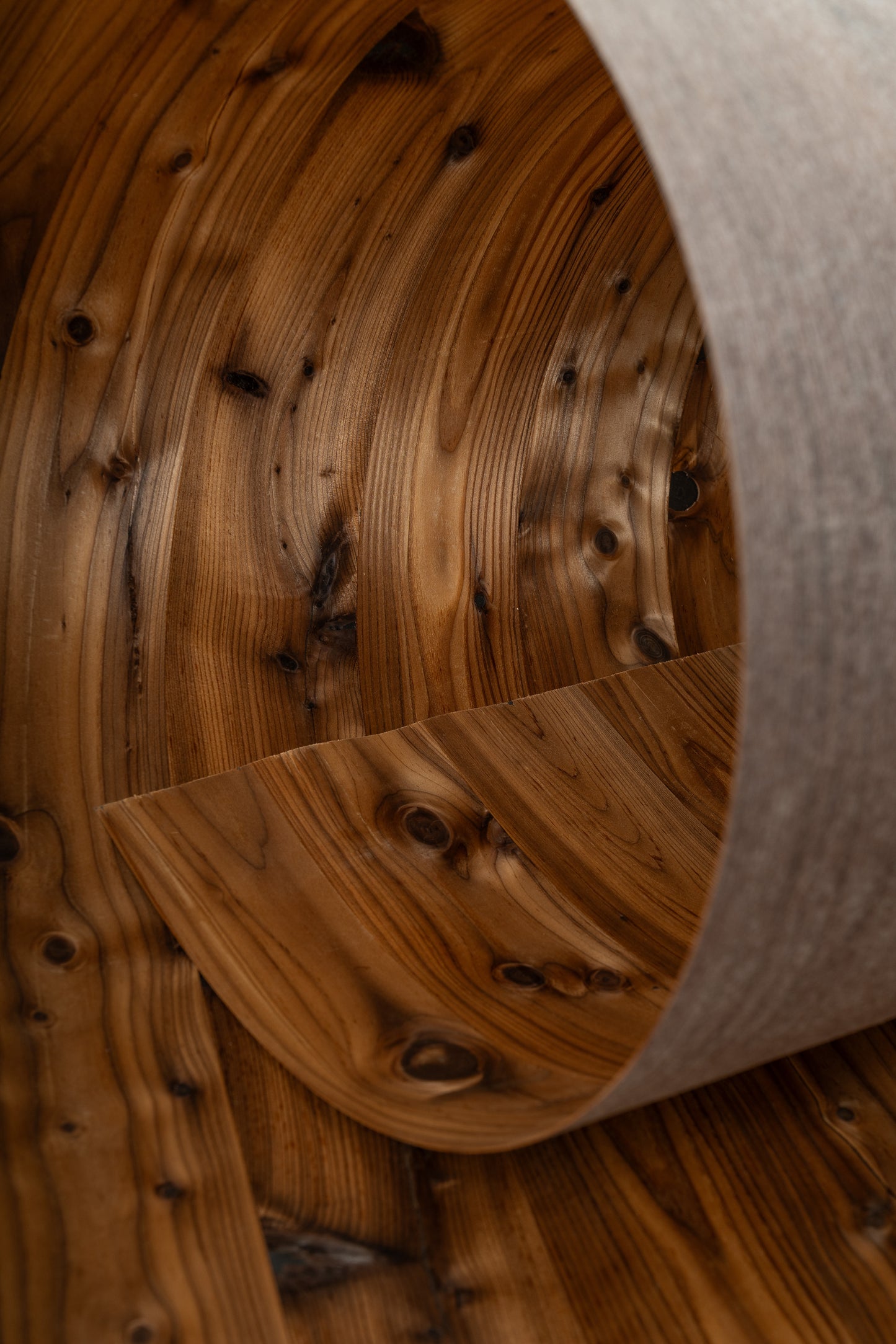 Sunburnt larch