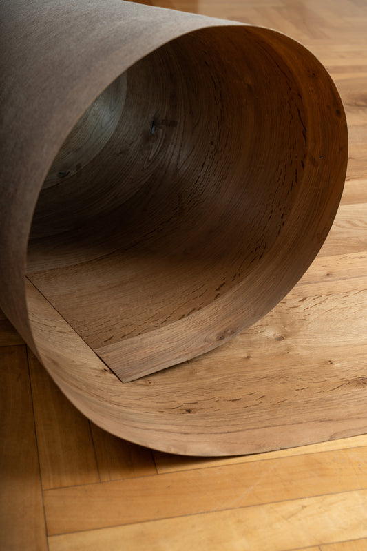 Roble quemado por el sol