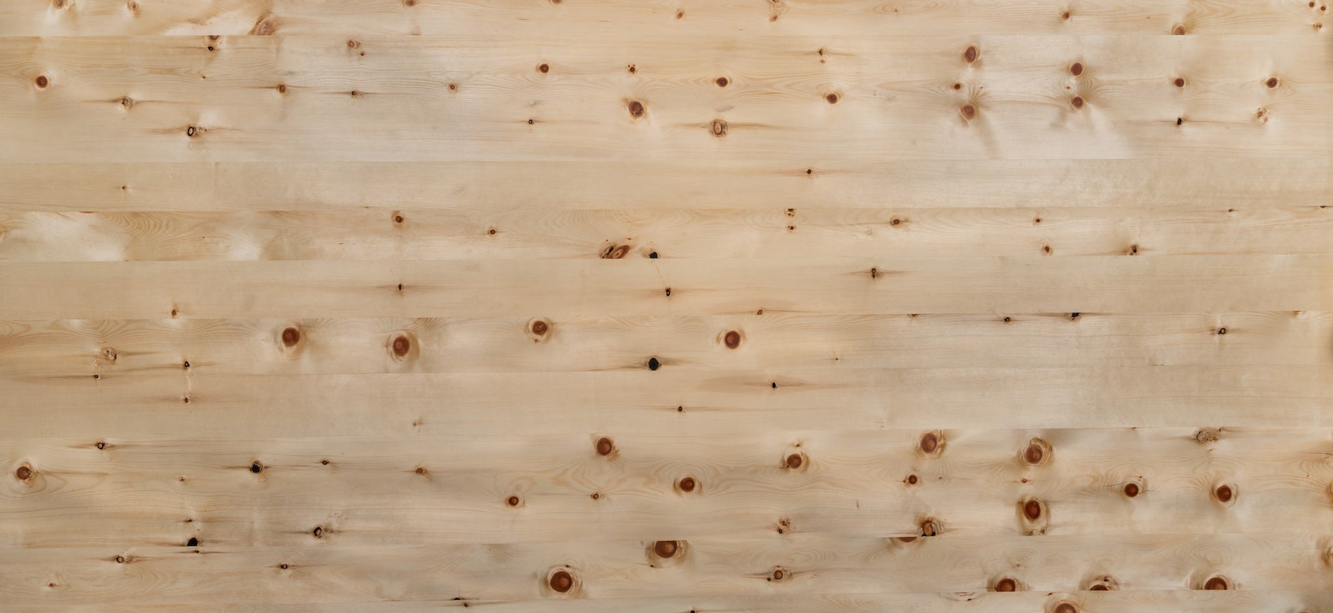 Furnier auf Vlies Zirbe